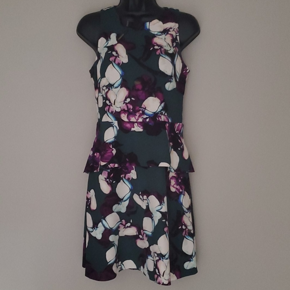 MINT! Banana Republic A-Frame Ruffle Dress SZ 2